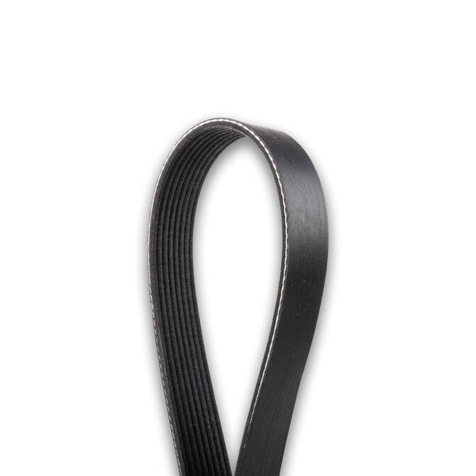 Dayco serpentine outlet belt